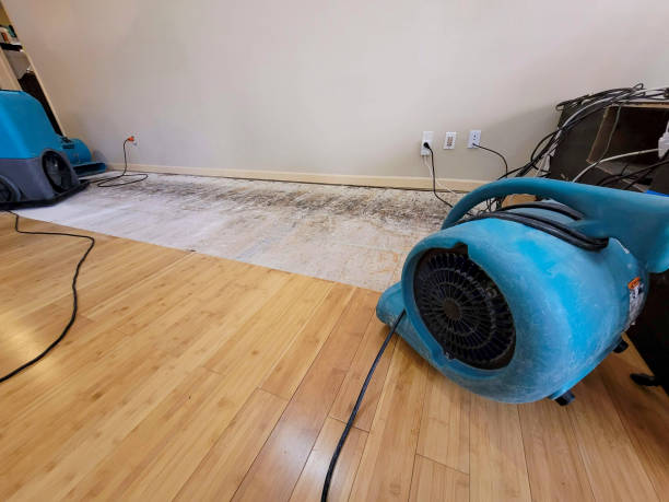 Professional Sewage Cleanup technician working in Edgerton, MN